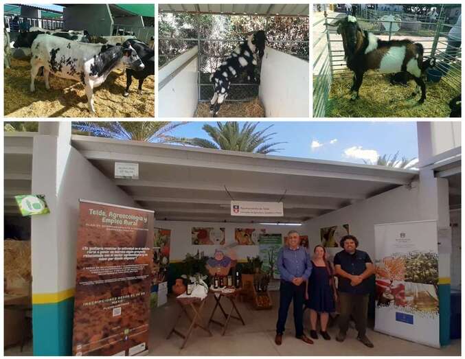 El concejal Servando González en el puesto de Telde en la Feria de Ganado/TA.